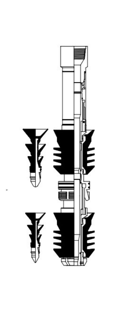 SpectraMax Four Plug Cementing System